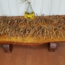 육종암 고치는 방법 육종암 간단하게 고쳐보기-자연의 이치와 순리로 고치는 암치료법 육종암 자연치유 방법 민간요법 이미지