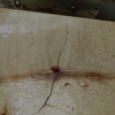 고운체육관 이미지