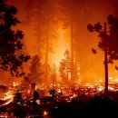 도덕2리 이미지