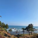 새석장 | #海波郞여행기#양양(2025.11.25)