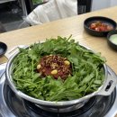 그래비즈 이미지