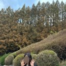 영양-11)영양군 서부리 162-1 | 제이레브헤어 레이어드C컬링 허그펌 추천