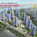 노블신 이미지