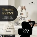 케이메가
