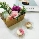 위네이션 이미지