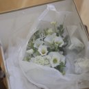 아바드 | 아바드플라워 본식 부케 솔직후기 🌸｜예쁜데 아쉬웠던 점까지 공유해요