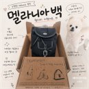 더블유통신 | 노멜렛 nomelet 시즌오프 세일 구매템| 멜라니아 백팩 내돈내산 후기