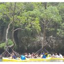 그레이 썬셋 이미지