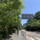 마사지 | [서울_강남] 수서/세곡동 찐 마사지숍, ‘바름체형교정원’ 방문 후기, 가격 정보