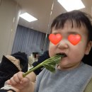 뽀빠이마트 이미지