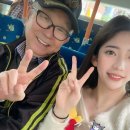 도쿄타이 이미지
