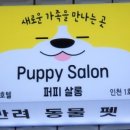 동물친구들 애견미용실 이미지