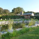 숲속오두막 이미지