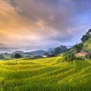 해온 행정사사무소 이미지