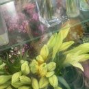 레몬파크장 이미지