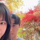 비밀의 정원 | [강원도/인제/단풍명소] 단풍이 예쁜 필례약수터/비밀의 정원 다녀온 후기