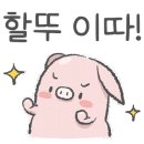 막창스토리 이미지