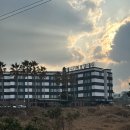 베니키아호텔제주 | 제주도 애월 가성비 호텔 1박 5만원 베니키아 호텔 제주