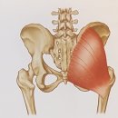 썬 맞춤운동센터 이미지
