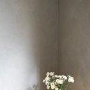 앙떼떼(entete) 이미지