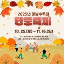 경상남도수목원전망대 | 경상남도수목원 단풍축제 2025 – 가을빛이 물드는 숲속 나들이 완전정복!