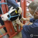 김태종농장 이미지