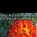 갈월공원 이미지