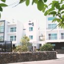 바라기펜션 이미지