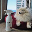 바이오드동물병원 | 강아지/고양이 오줌냄새제거 바이엑스 반려동물 탈취제로 해결!