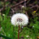 율리저수지 이미지