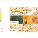 뉴라이프(NewLife) 이미지