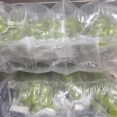 채니농장 이미지