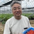김필제농장 네이버블로그