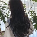 김쌀롱 | 스타일 변신의 성지, 나만 알고 싶은 안산 고잔동 미용실 살롱드김 솔직 후기!