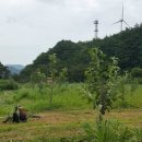 백담소나무계곡펜션 이미지