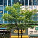 컴포즈커피전북도청점