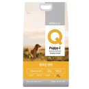 아이퍼피 이미지