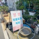 세종 연동면 물냉면 전문 노포 맛집 부민식당 내돈내산 후기