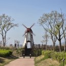 예당습지생태공원 | 전남보성여행 가볼만한곳 예당습지생태공원 갈대밭명소