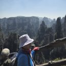 장가계＜십리화랑.원가계, 천자산.＞2025/03/25.~ 2 이미지