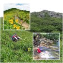 7월 26일[제2,132차] 경남 거창군 덕유 무룡산(1,492m) 원츄리꽃 산행 &amp; 서출동류 물길트레킹 안내 이미지