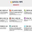 응용 소프트웨어 개발 및 공급업