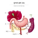 나을동물병원 이미지