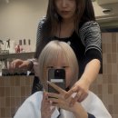 [미우]뿌리 탈색만으로 완성한 깔끔한 백금발, 뿌탈 후기