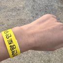 합천군의회 | 아이들과 다녀온 합천 한우축제 후기💙