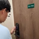 파라스테이 이미지