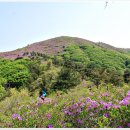 삼비산등산로 이미지