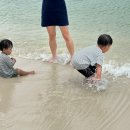라온씨푸드 이미지