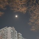 해, 그리고 달 이미지