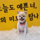 올리스24(세종점) 이미지